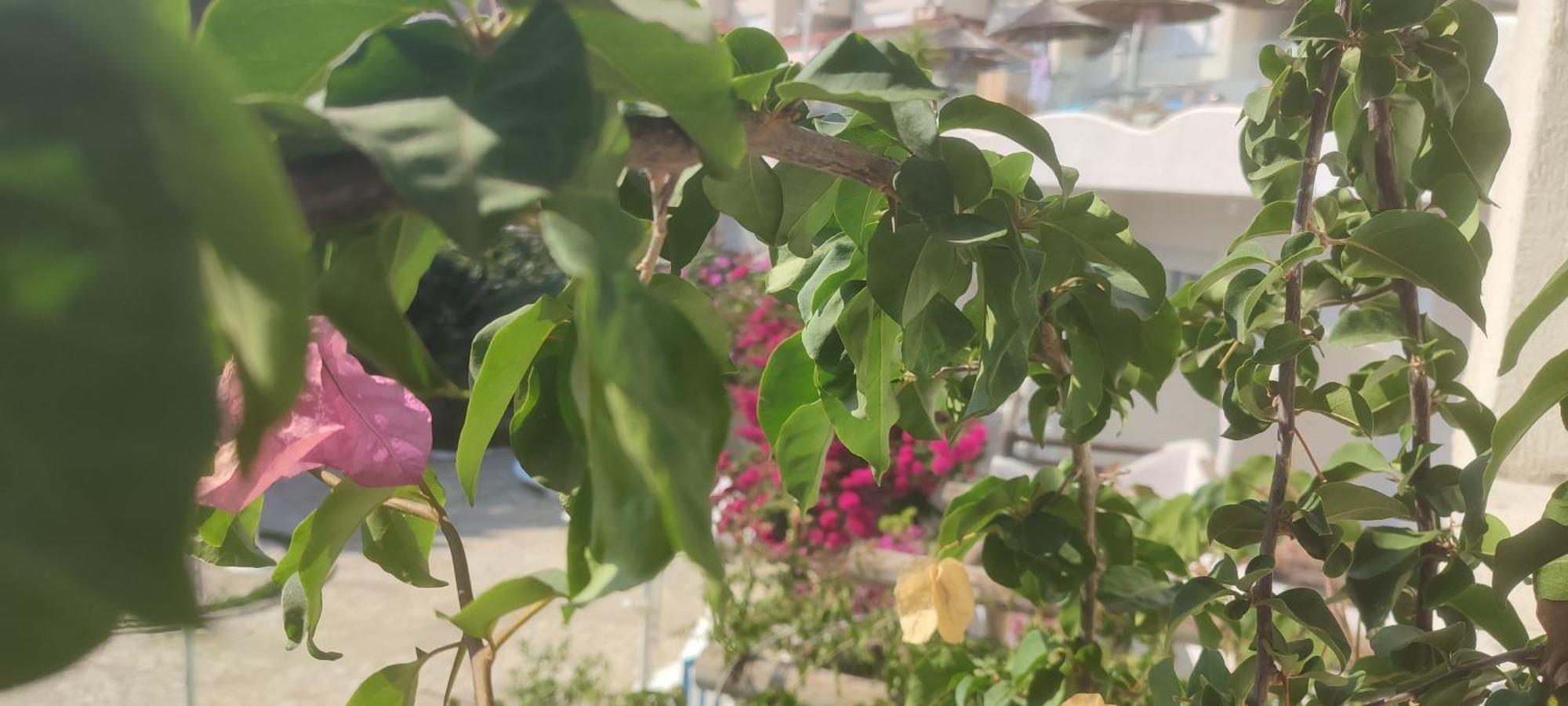 Sea Breeze Apartment Bougainville Bay Саранда Екстер'єр фото