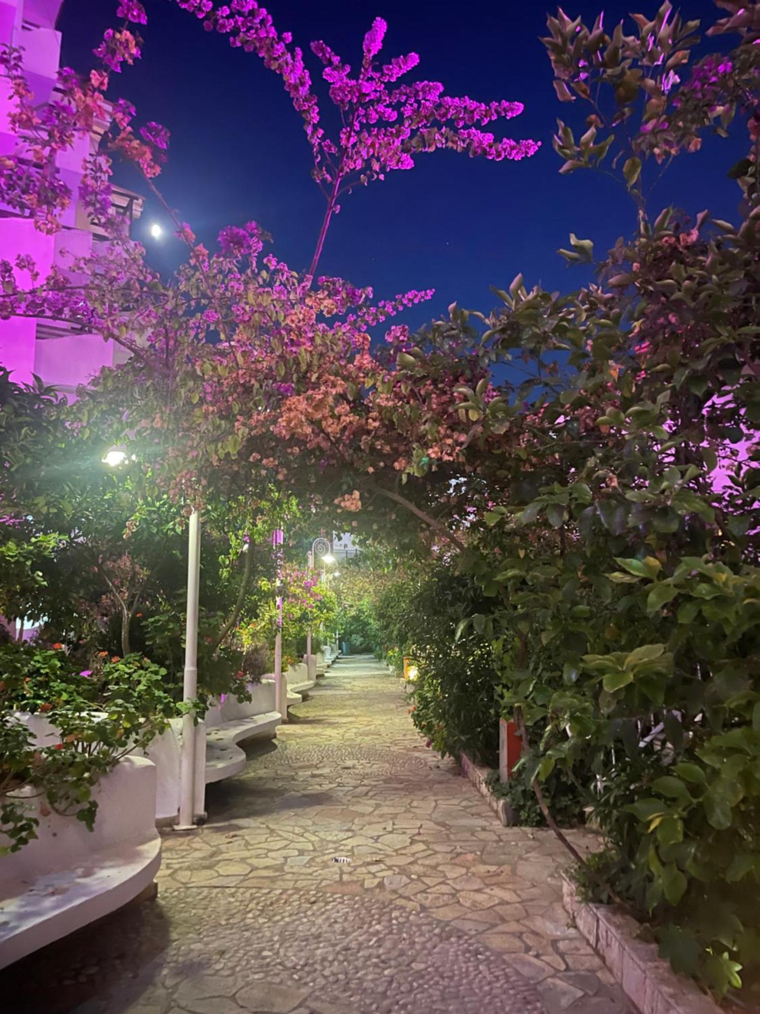 Sea Breeze Apartment Bougainville Bay Саранда Екстер'єр фото